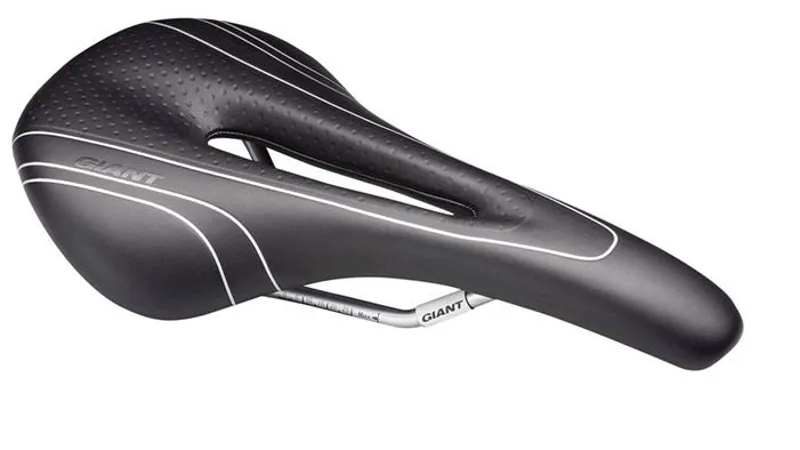 Giant Flow 1 Saddle